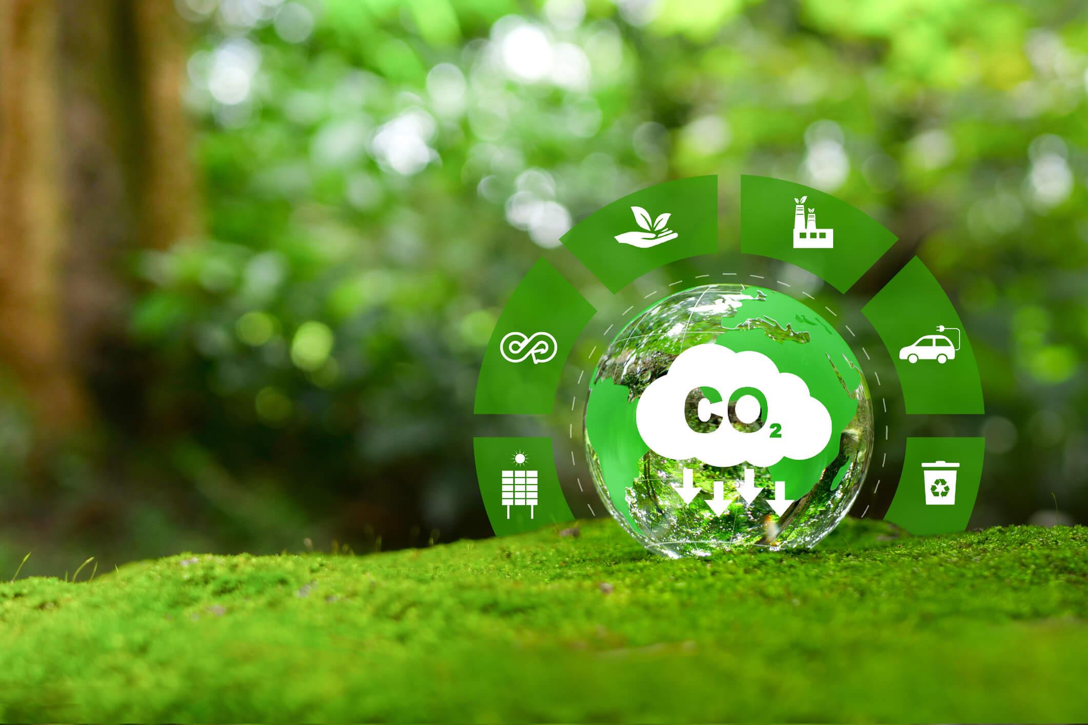 Key⁢ Takeaways for Businesses Looking ⁤to Reduce ⁣Carbon Footprint