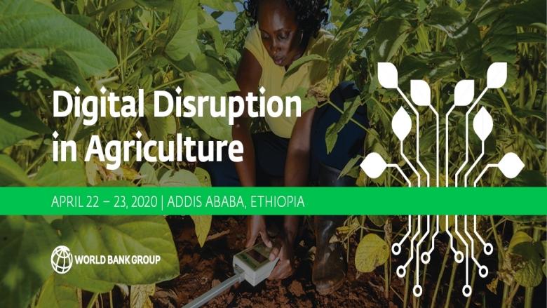 Critical ⁢Analysis of⁣ Potential Disruption and Impact ⁣on Agriculture ‌Sector