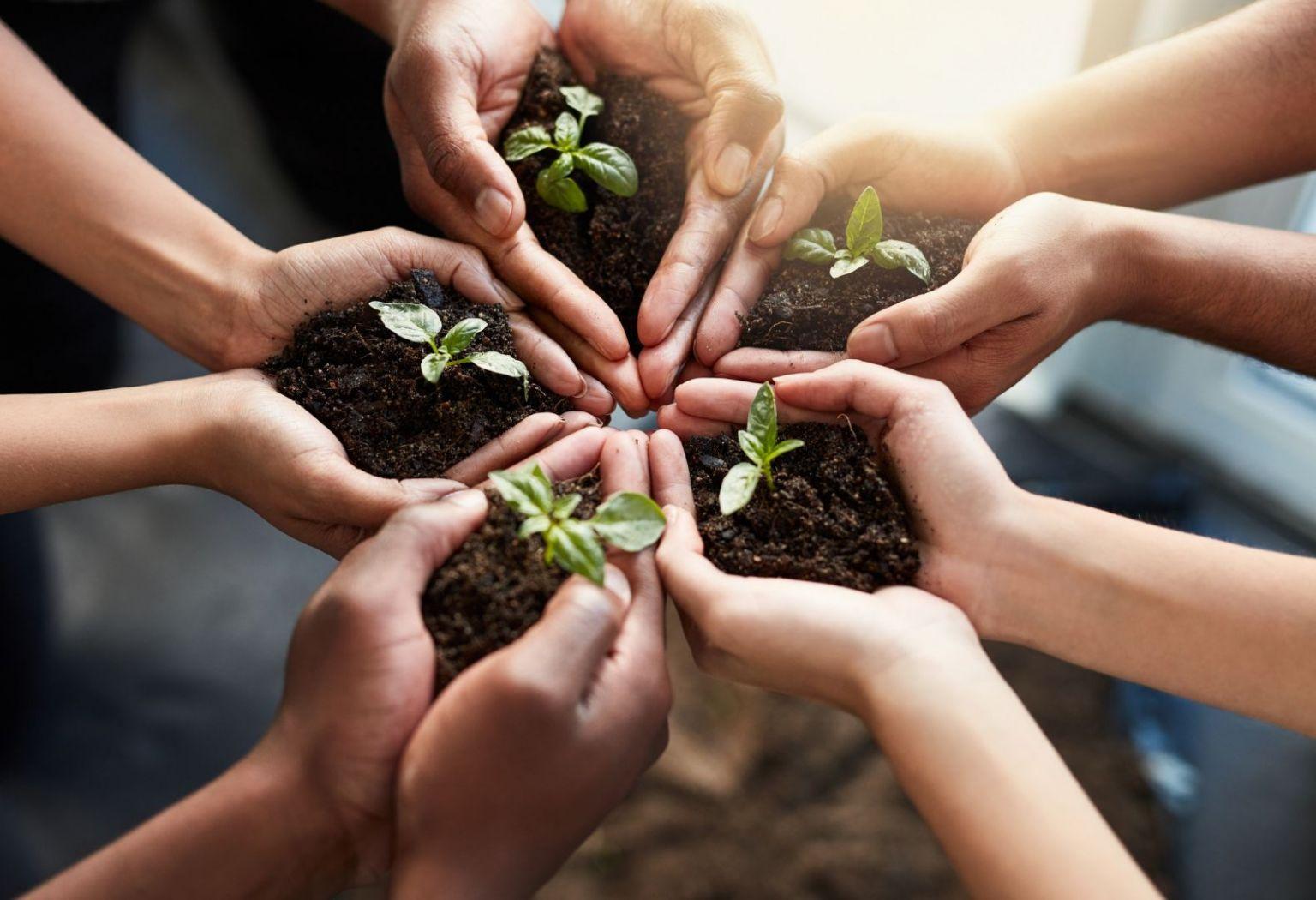 Sustainability Initiatives ⁢Reshaping ‌Logistics⁣ Operations