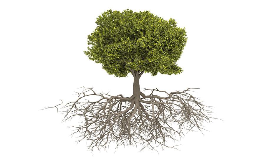 Analysis of Root Causes Behind Delay