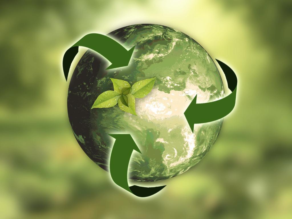 Fostering Sustainability Through Collaborative Initiatives