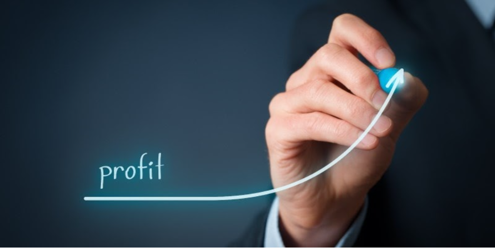 Profitability Analysis Guide - Datarails